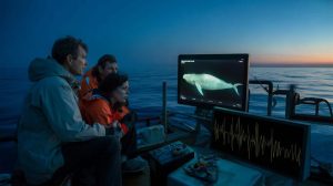 A rare sighting has scientists reassessing previous theories