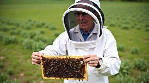 Bad news for a retiree who lent land to a beekeeper: he has to pay agricultural tax “I’m not making any money from this” – a story that divides opinion