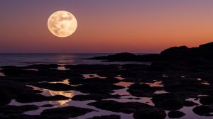 As the Moon slowly drifts away, Earth’s days and tides quietly change