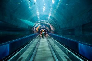 An ambitious underwater rail line designed to link continents through a deep-sea tunnel is dividing experts and taxpayers alike